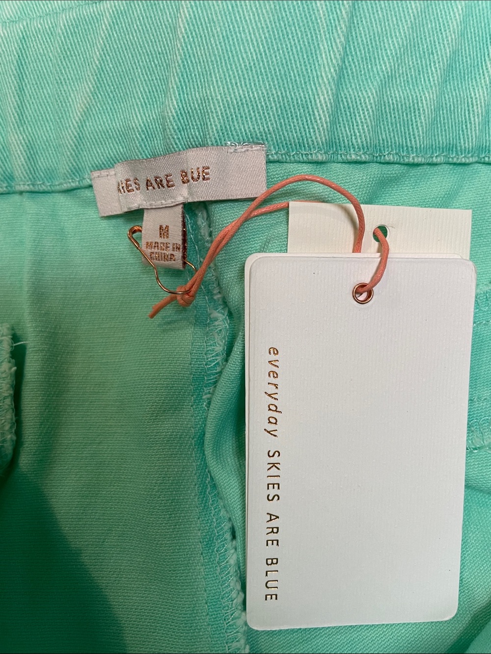 Skies Are Blue Mint High-Waist Paperbag Shorts Size M | NWT - Picture 6 of 9